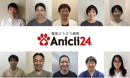 電話動物病院 Anicli24をご存知ですか?