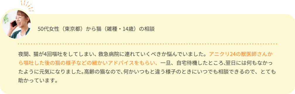 14歳の雑種猫の相談画像