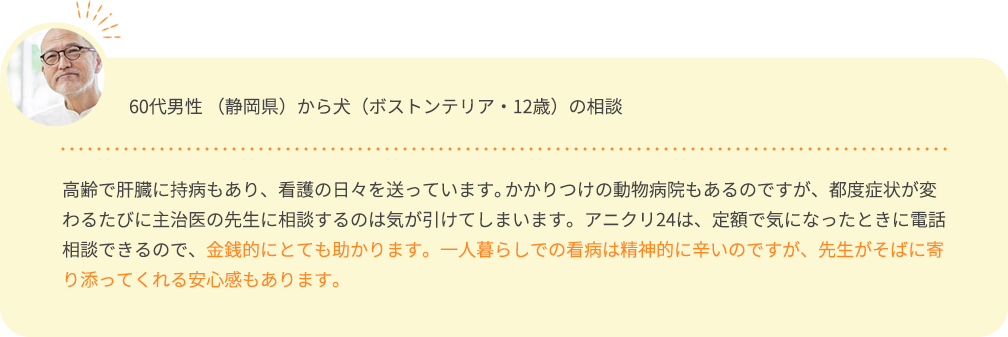 12歳のボストンテリアの相談画像