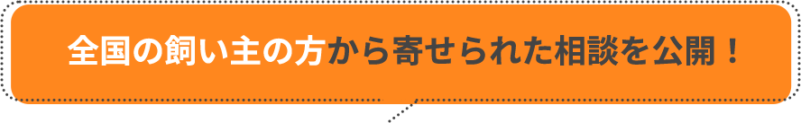 全国の飼い主から寄せられた相談を公開