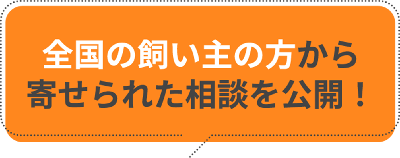 全国の飼い主から寄せられた相談を公開