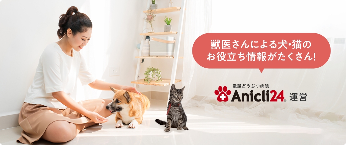 獣医さんによる犬・猫のお役立ち情報がたくさん！ 電話どうぶつ病院 Anicli24 運営