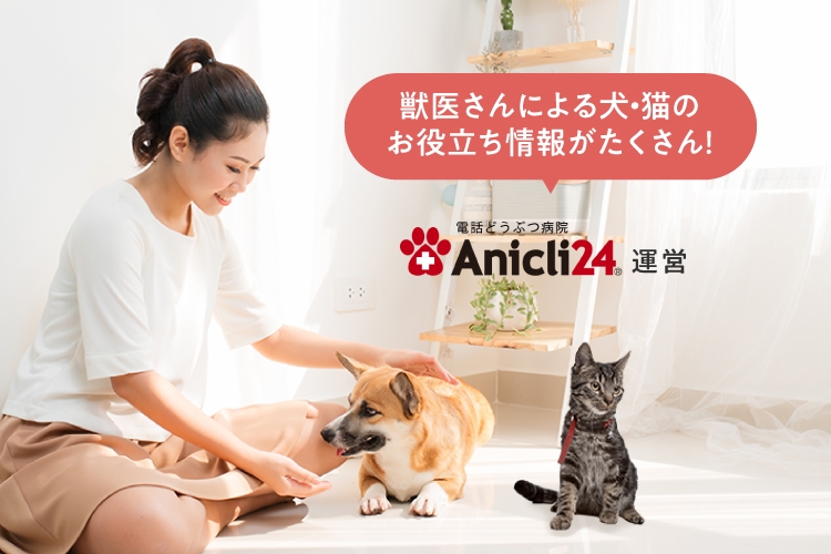 獣医さんによる犬・猫のお役立ち情報がたくさん！ 電話どうぶつ病院 Anicli24 運営
