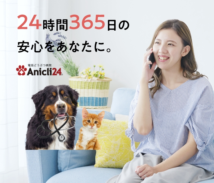 24時間365日の安心をあなたに。 電話どうぶつ病院 Anicli24