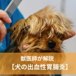 犬伝染性気管支炎 ケンネルコフ 獣医師 三宅 電話どうぶつ病院anicli24 アニクリ24 犬伝染性気管支炎 ケンネルコフ 獣医師 三宅 電話どうぶつ病院anicli24 アニクリ24